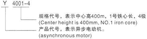 西安泰富西玛Y系列(H355-1000)高压YR4503-4/400KW三相异步电机型号说明